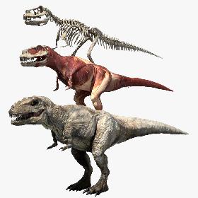 3D Tyrannosaurus Rex Anatomy